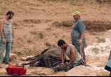 Фильм Собаки / Câini (2016) - cцена 4