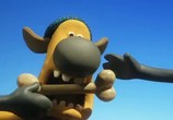 Мультфильм Барашек Шон - овцечемпионат / Shaun the Sheep - Championsheeps (2012) - cцена 5