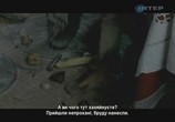 Сцена из фильма Лето волков (2011) Капли крови на цветущем вереске сцена 15