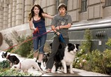 Фильм Отель для собак / Hotel for Dogs (2009) - cцена 3