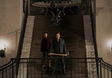 Фильм Доктор Сон / Doctor Sleep (2019) - cцена 5