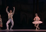 ТВ Пётр Ильич Чайковский: Спящая красавица / Tchaikovsky: Sleeping Beauty (2006) - cцена 5