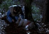 Фильм Кладбище домашних животных 2 / Pet Sematary 2 (1992) - cцена 1
