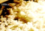 ТВ National Geographic: Индустрия наркотиков / National Geographic: Drugs, Inc: Cannabis (2010) - cцена 3