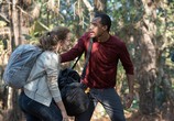 Фильм Я заберу твои деньги / Blood Money (2017) - cцена 1