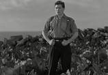 Фильм Край света / The Edge of the World (1937) - cцена 3