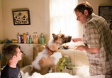 Фильм Мармадюк / Marmaduke (2010) - cцена 2