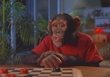 Фильм Шайбу,шайбу! / MVP: Most Valuable Primate (2000) - cцена 2