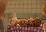 Мультфильм Барби и щенки в поисках сокровищ / Barbie & Her Sisters in the Great Puppy Adventure (2015) - cцена 2