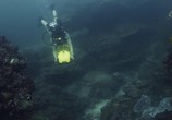 Фильм Глубокое синее море 3 / Deep Blue Sea 3 (2020) - cцена 3