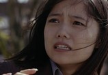 Сцена из фильма Пapни c лaтyнными кacтeтaми / Shonen merikensakku (2008) Пapни c лaтyнными кacтeтaми сцена 8