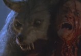 Фильм Зловещая луна / Bad Moon (1996) - cцена 2