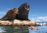 Мультфильм В поисках Дори / Finding Dory (2016) - cцена 8