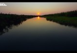 Фильм Вдоль по Окаванго / Into the Okavango (2018) - cцена 1