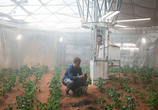 Фильм Марсианин / The Martian (2015) - cцена 7