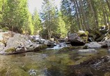 ТВ Изучая природу 3D / Experience Nature 3D (2013) - cцена 2
