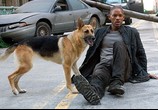 Фильм Я – легенда / I Am Legend (2008) - cцена 5