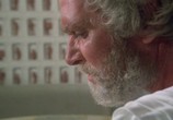 Фильм Битва Титанов / Clash of the Titans (1981) - cцена 1