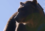 ТВ Человек против медведя / Man vs Bear (2019) - cцена 1