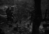 Фильм Франкенштейн встречает Человека-Волка / Frankenstein Meets the Wolf Man (1943) - cцена 1